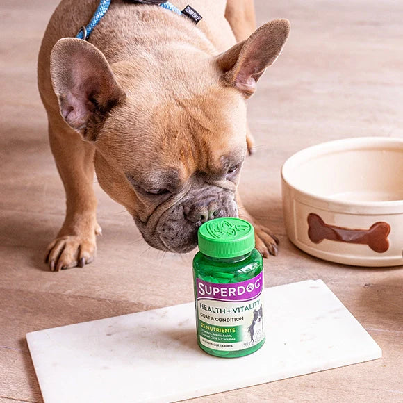 Vitabiotics SuperDog Health & Vitality
