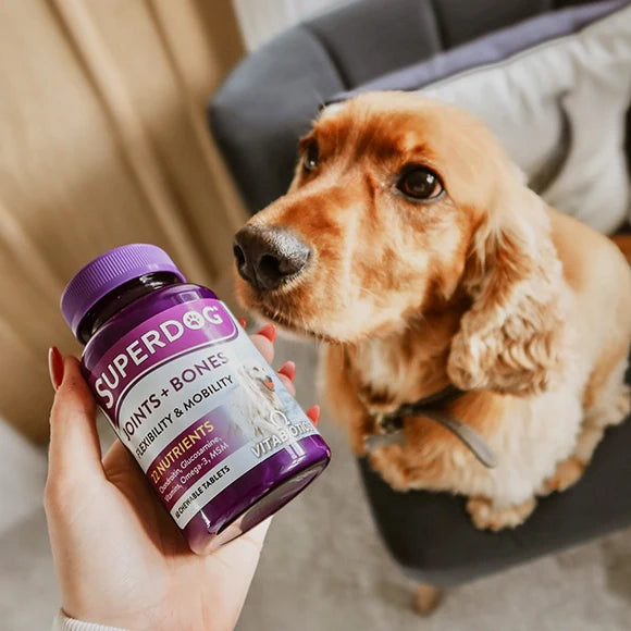 Vitabiotics SuperDog Joints & Bones