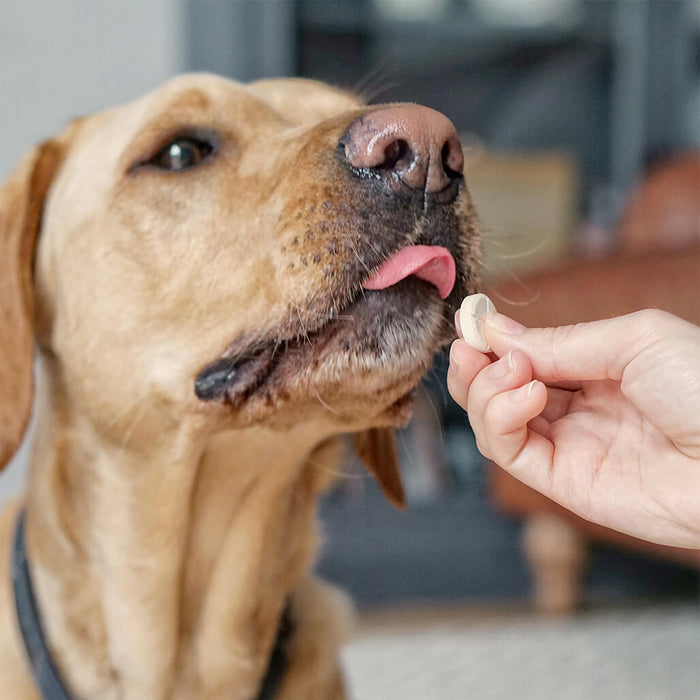 Vitabiotics SuperDog Health & Vitality